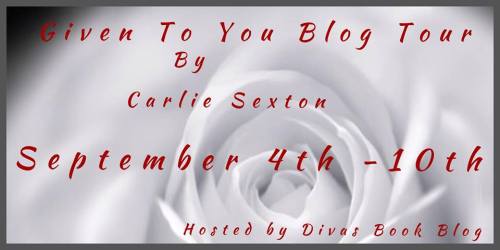 Diva blog banner